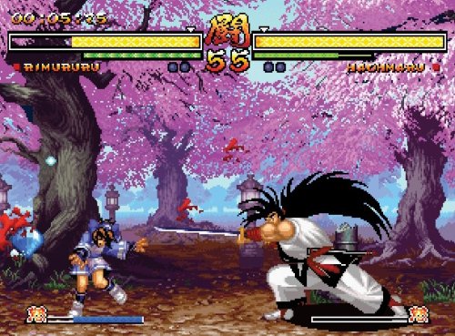Samurai Shodown Anthology - (PS2) PlayStation 2 [Pre-Owned] Video Games SNK Playmore   