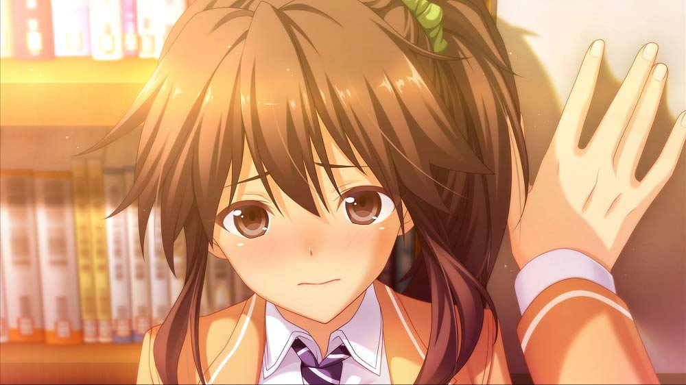 Memories Off -Innocent Fille- for Dearest - (NSW) Nintendo Switch (Japanese Import) Video Games 5pb   