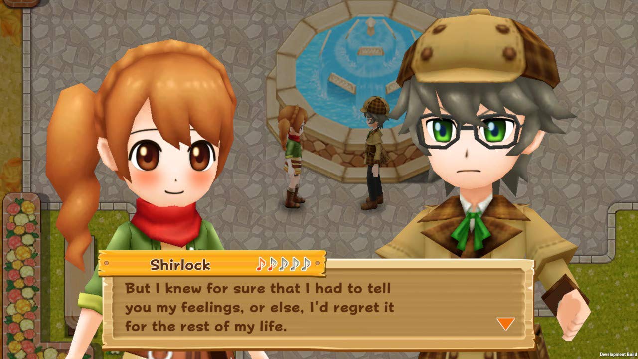 Harvest Moon: Light of Hope Special Edition (NSW) Nintendo