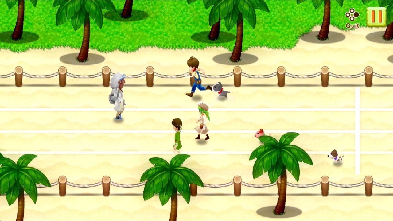 Harvest Moon: Light of Hope Special Edition - (NSW) Nintendo Switch [Pre-Owned] Video Games Natsume   