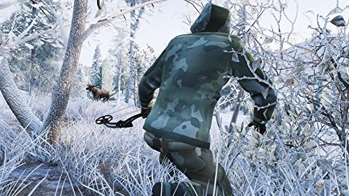 Hunting Simulator - (NSW) Nintendo Switch [Pre-Owned] Video Games Bigben Interactive   