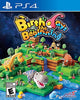 Birthdays the Beginning (Limited Edition) - (PS4) PlayStation 4 Video Games NIS America   