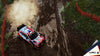 WRC 10  - PlayStation 4 Video Games Maximum Games   