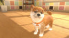Little Friends: Dogs & Cats - Nintendo Switch Video Games Sold Out   