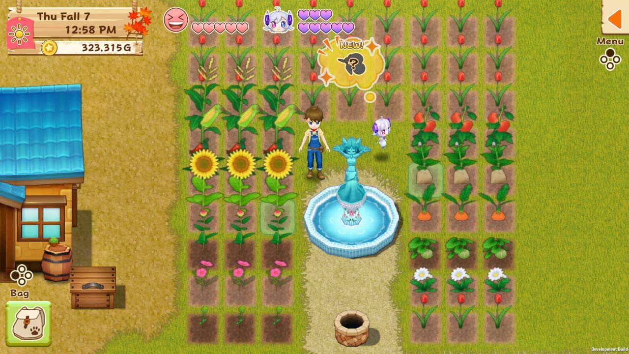 Harvest Moon: Light of Hope Special Edition - (NSW) Nintendo Switch [Pre-Owned] Video Games Natsume   
