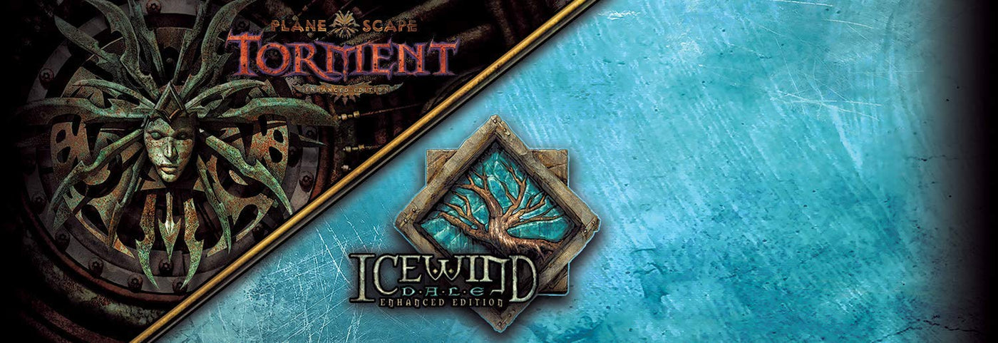 Planescape Torment & Icewind Dale: Enhanced Editions - Nintendo Switch Video Games Skybound Games   