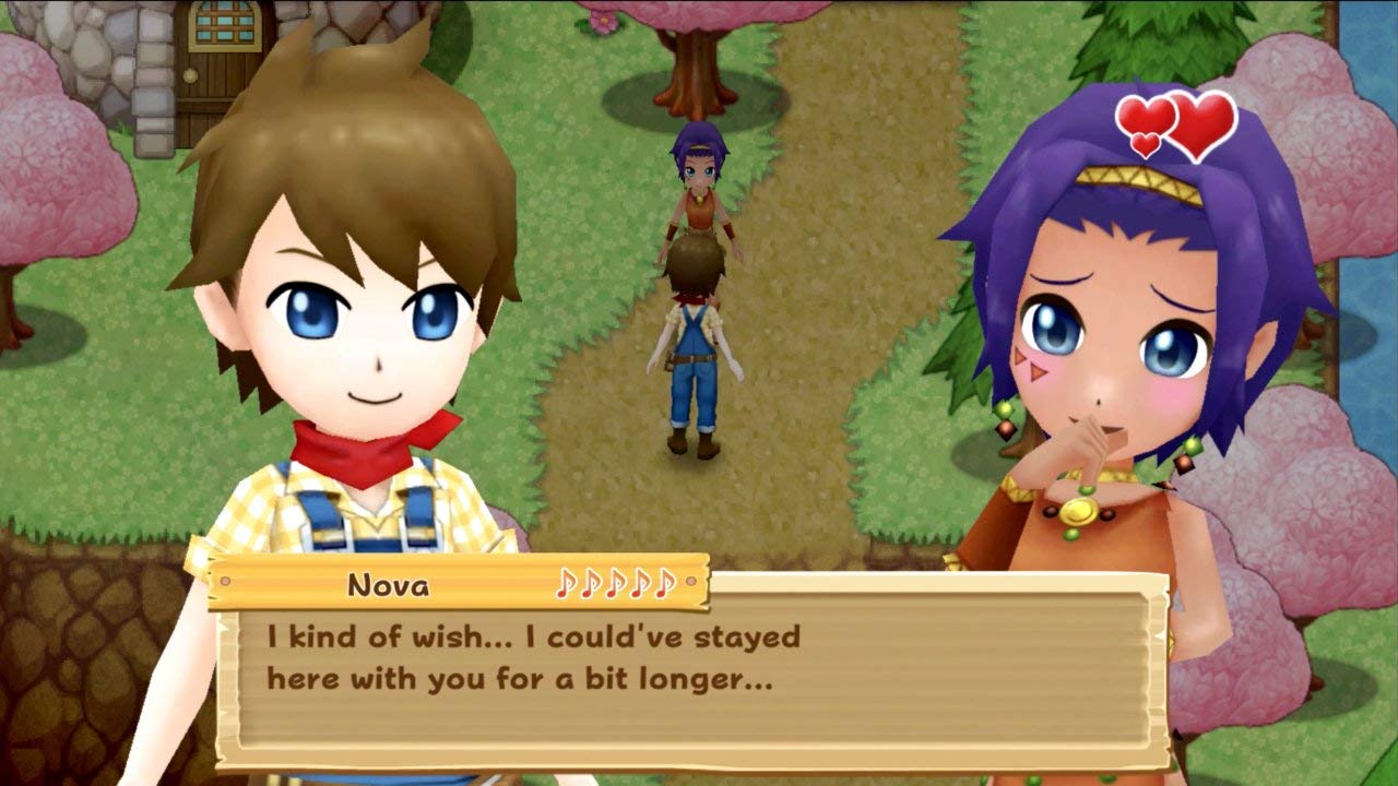 Harvest Moon: Light of Hope Special Edition - (NSW) Nintendo Switch [Pre-Owned] Video Games Natsume   