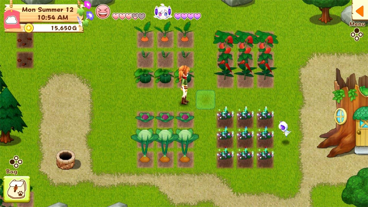 Harvest Moon: Light of Hope Special Edition - (NSW) Nintendo Switch [Pre-Owned] Video Games Natsume   