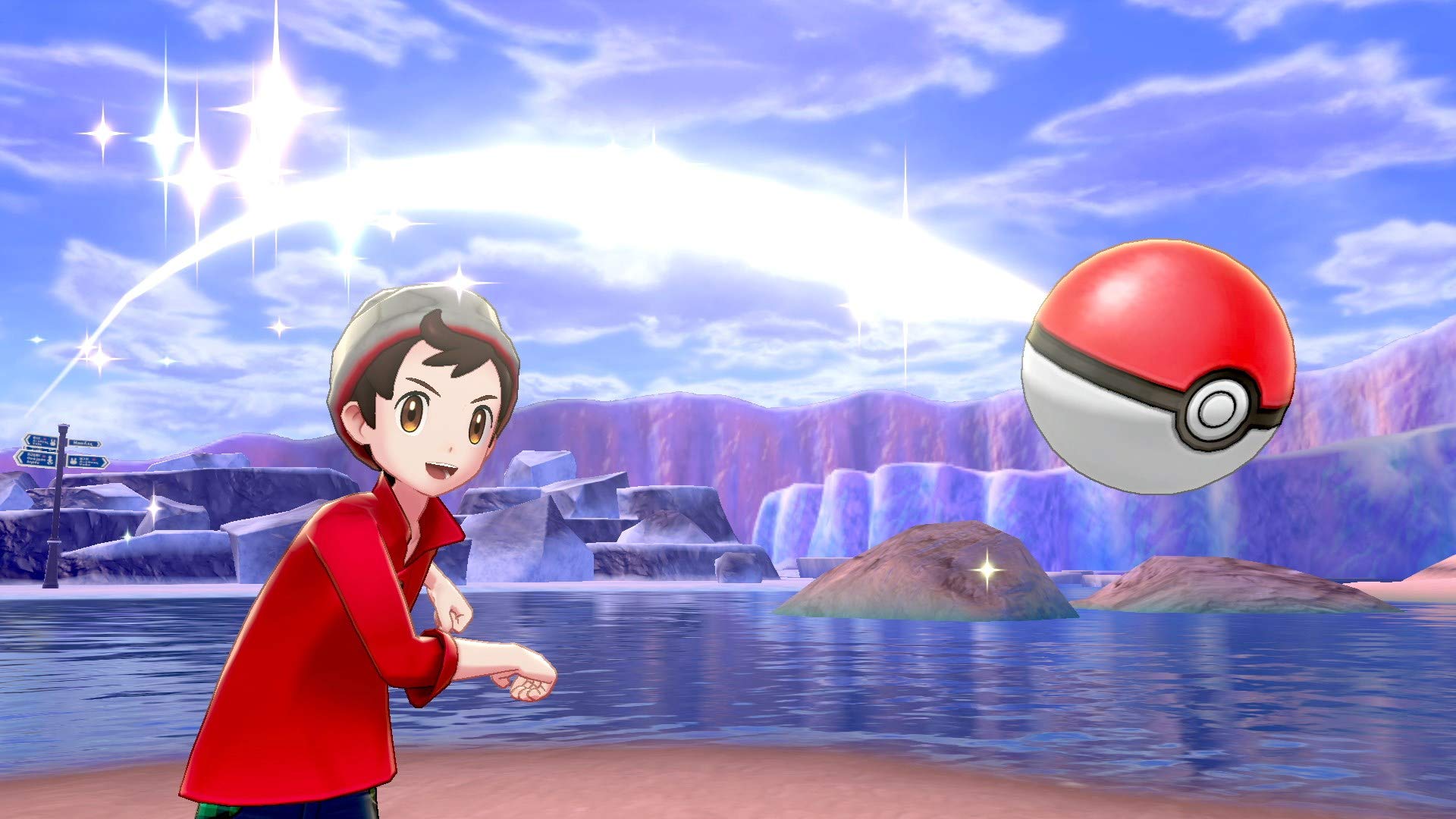 Pokemon Sword and Shield Dual Pack (Steelbook Edition) - (NSW) Nintendo Switch (European Import) Video Games Nintendo   