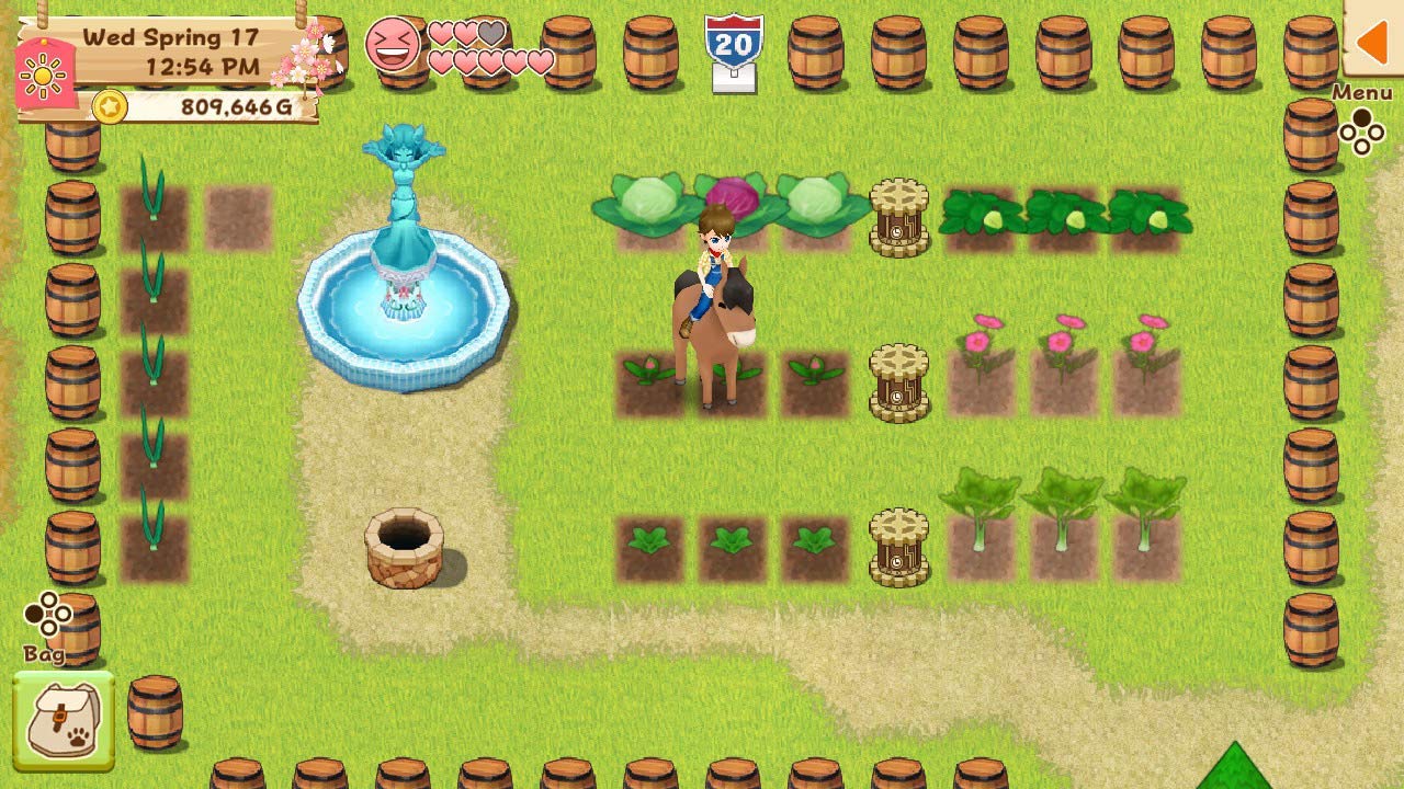 Harvest Moon: Light of Hope Special Edition - (NSW) Nintendo Switch [Pre-Owned] Video Games Natsume   