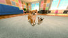 Little Friends: Dogs & Cats - Nintendo Switch Video Games Sold Out   