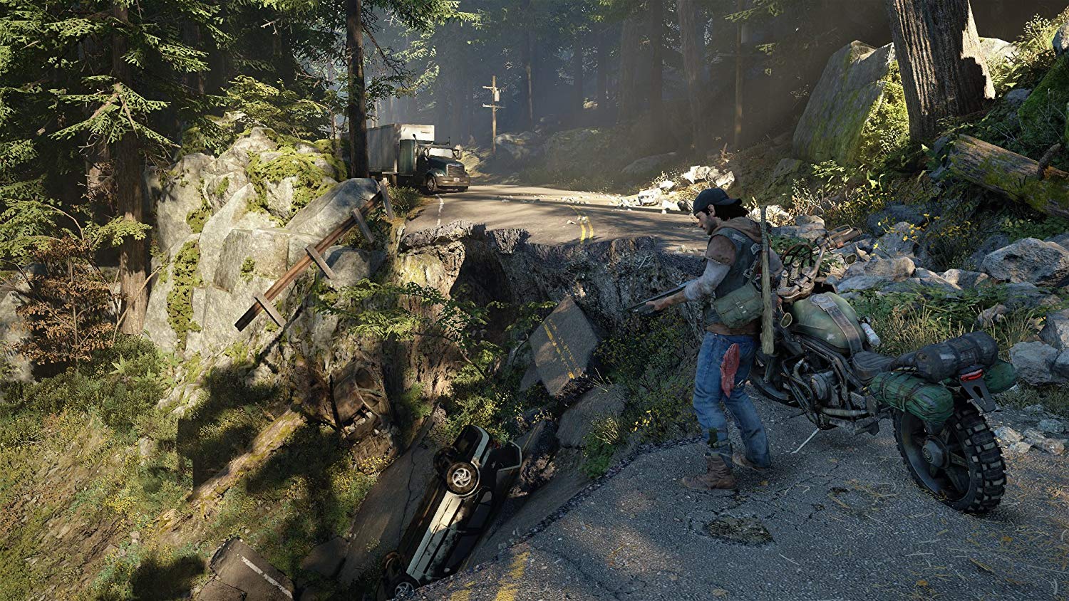 Days Gone - (PS4) Playstation 4 [Pre-Owned] Video Games Sony Interactive Entertainment   