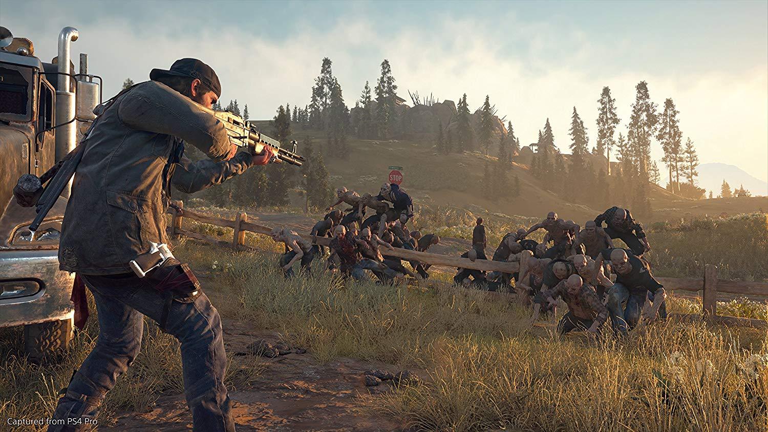 Days Gone - (PS4) Playstation 4 [Pre-Owned] Video Games Sony Interactive Entertainment   