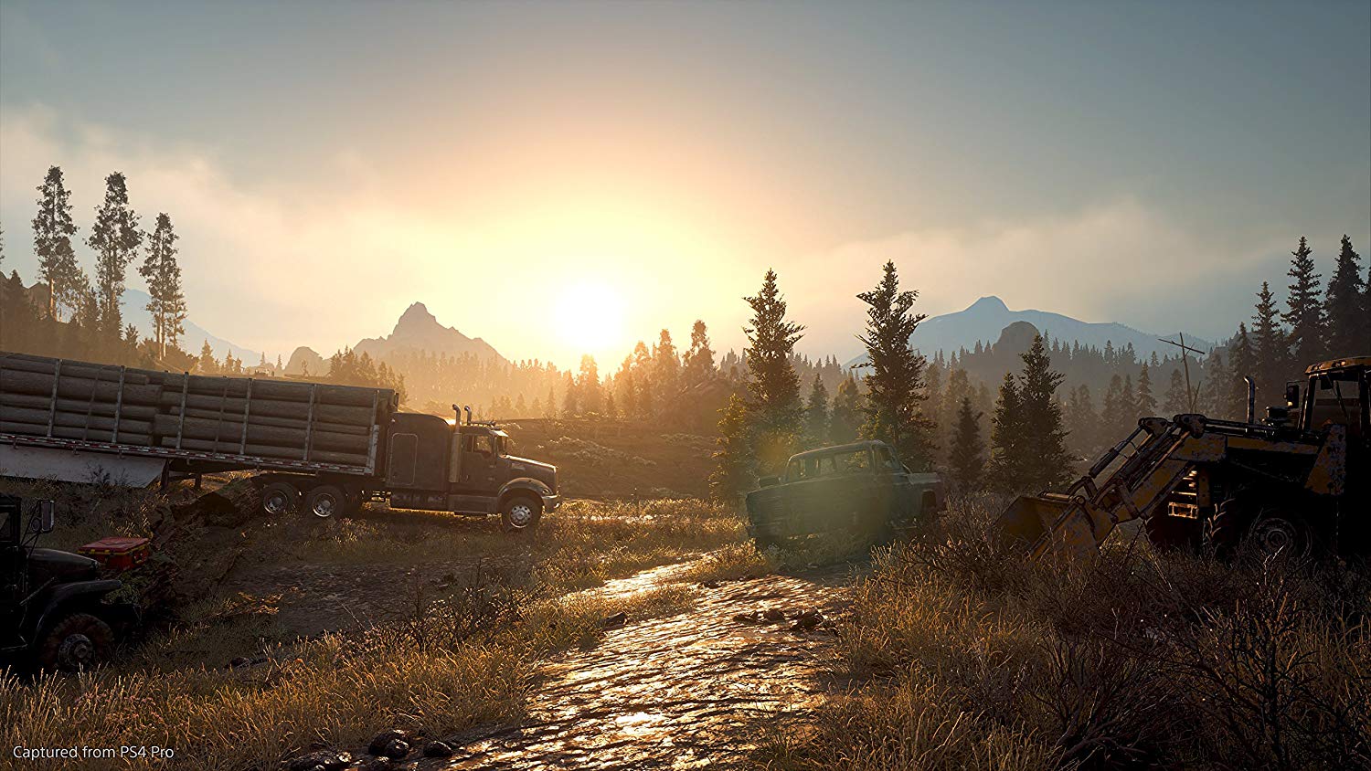 Days Gone - (PS4) Playstation 4 Video Games Sony   