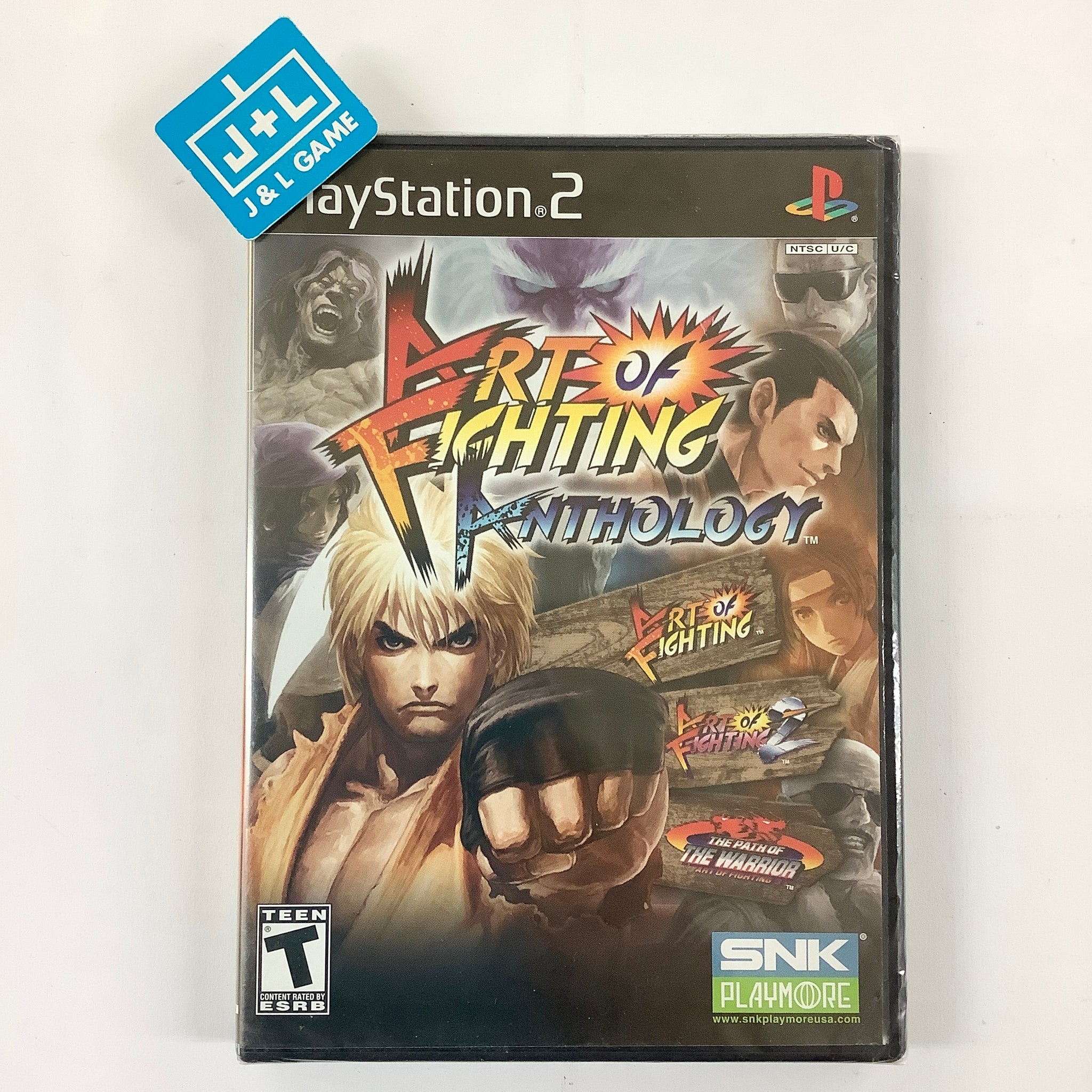 Art of Fighting Anthology - (PS2) PlayStation 2 Video Games SNK   