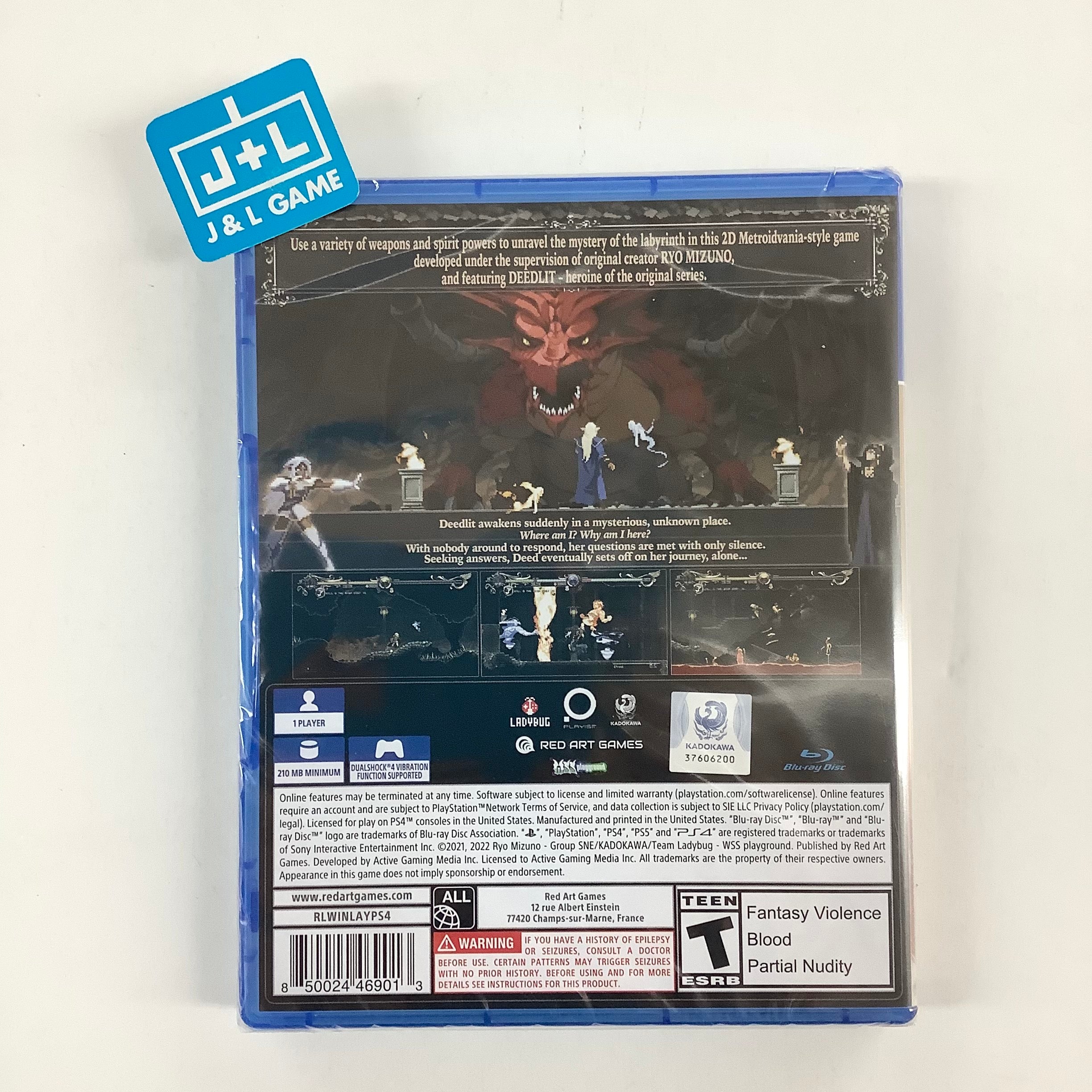 Record of Lodoss War: Deedlit in Wonder Labyrinth - (PS4) PlayStation 4 Video Games Red Art Games   