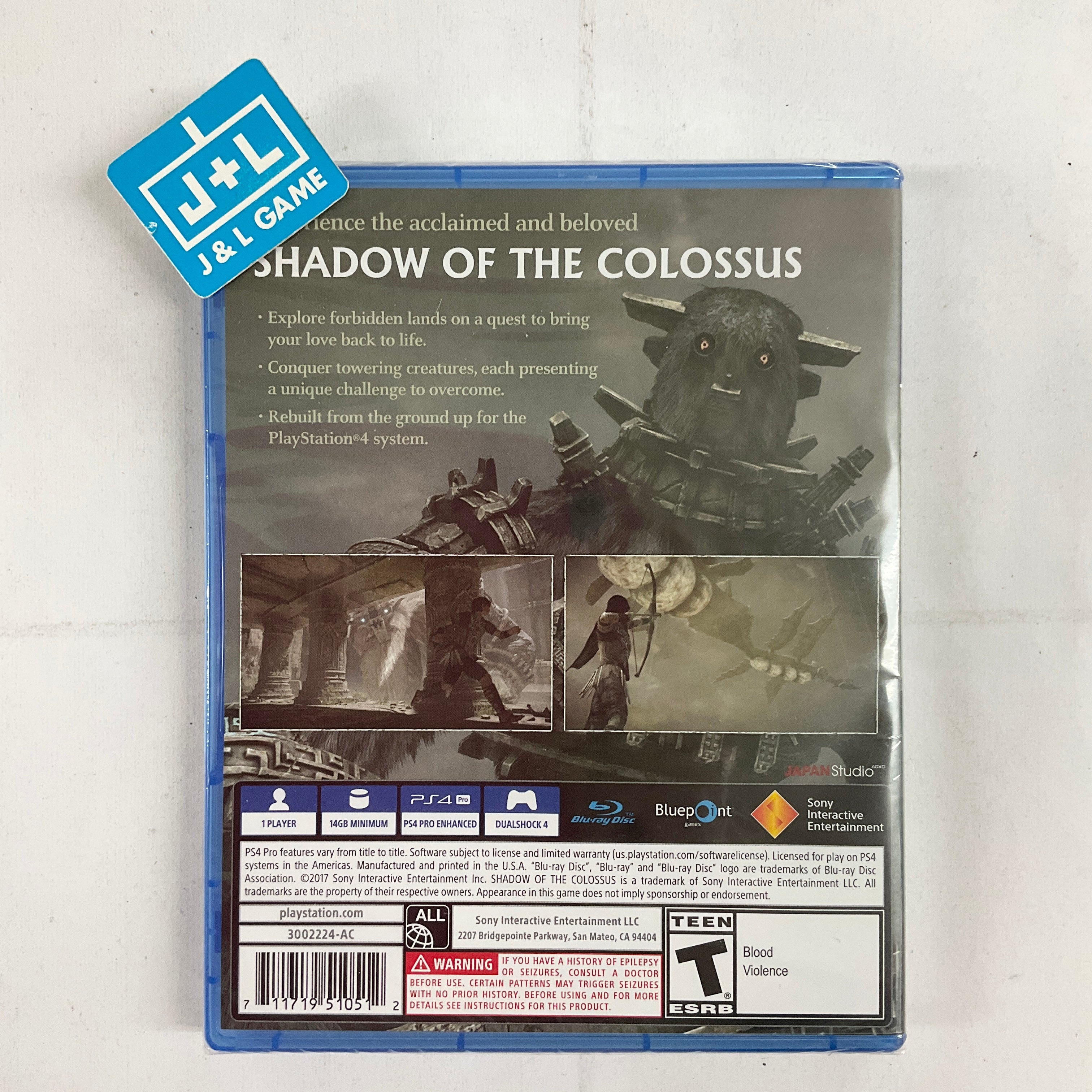 Shadow of the Colossus - (PS4) PlayStation 4 Video Games PlayStation   